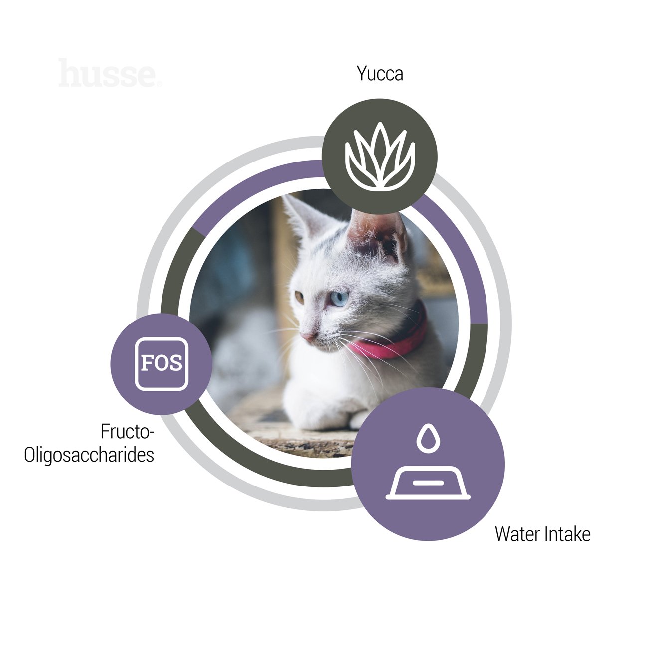 Exclusive Urinary, 2 kg | Komplett torrfoder som hjälper till att bibehålla urinhälsa