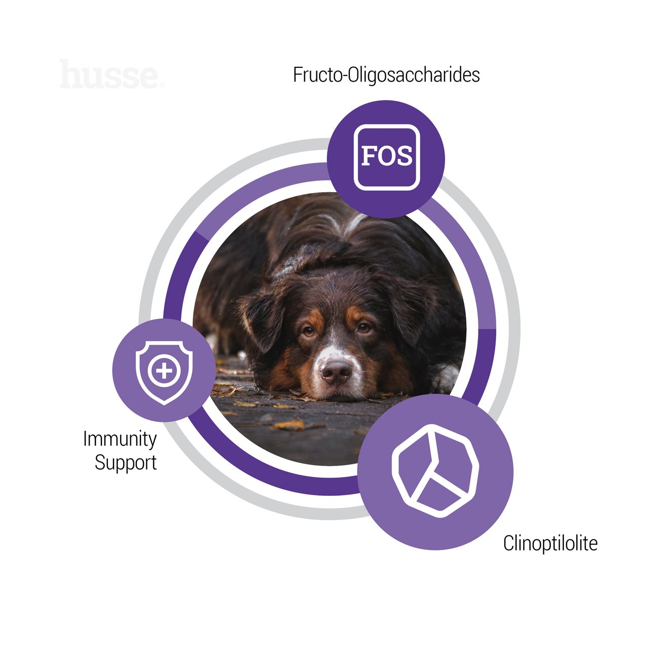 Senior, 12 kg | Komplett näring med anpassat kaloriinnehåll för att hålla seniorhundar i fin form