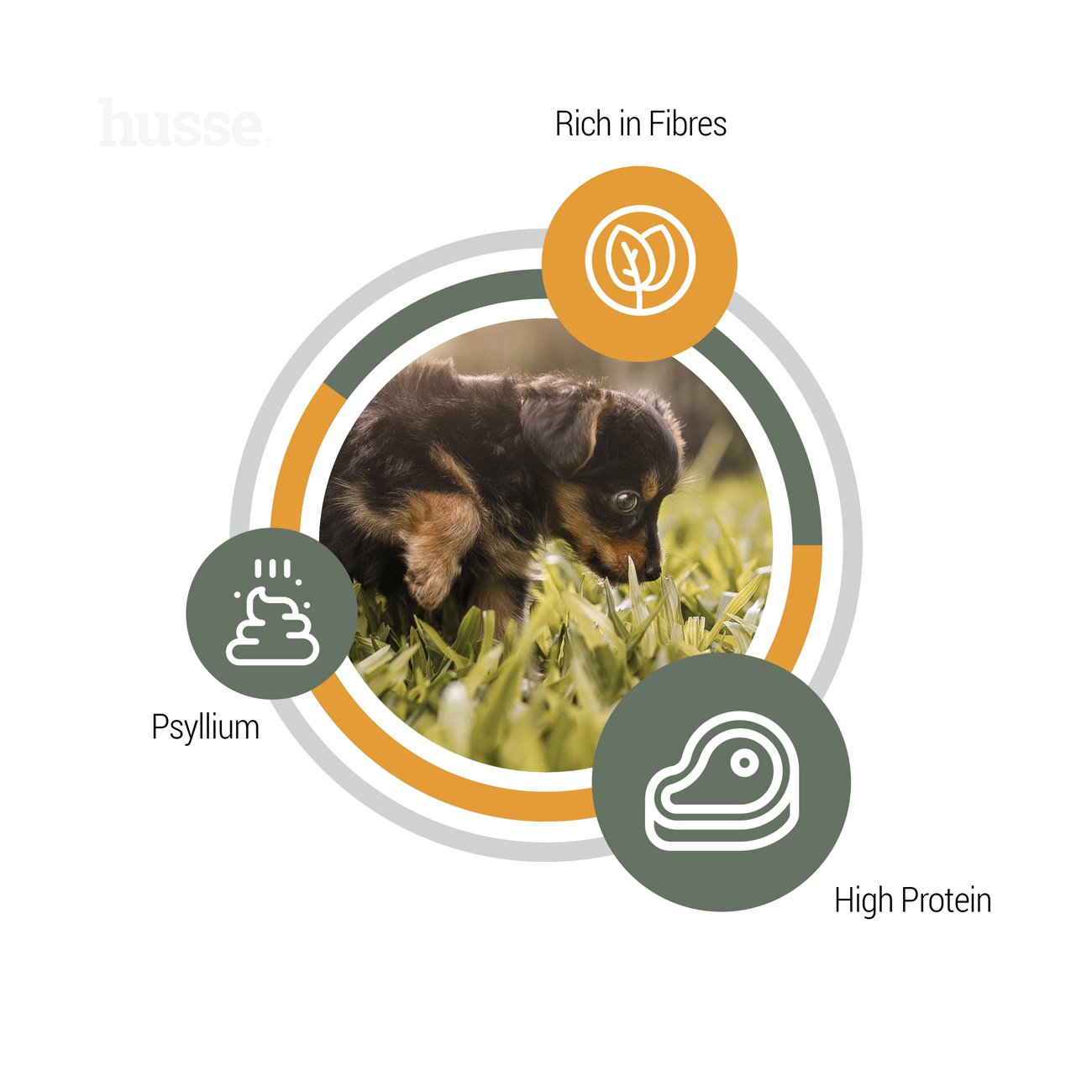 Valp Plus, 2 kg |  Komplett foder med psyllium och vegetabiliska fibrer för smidig matsmältning