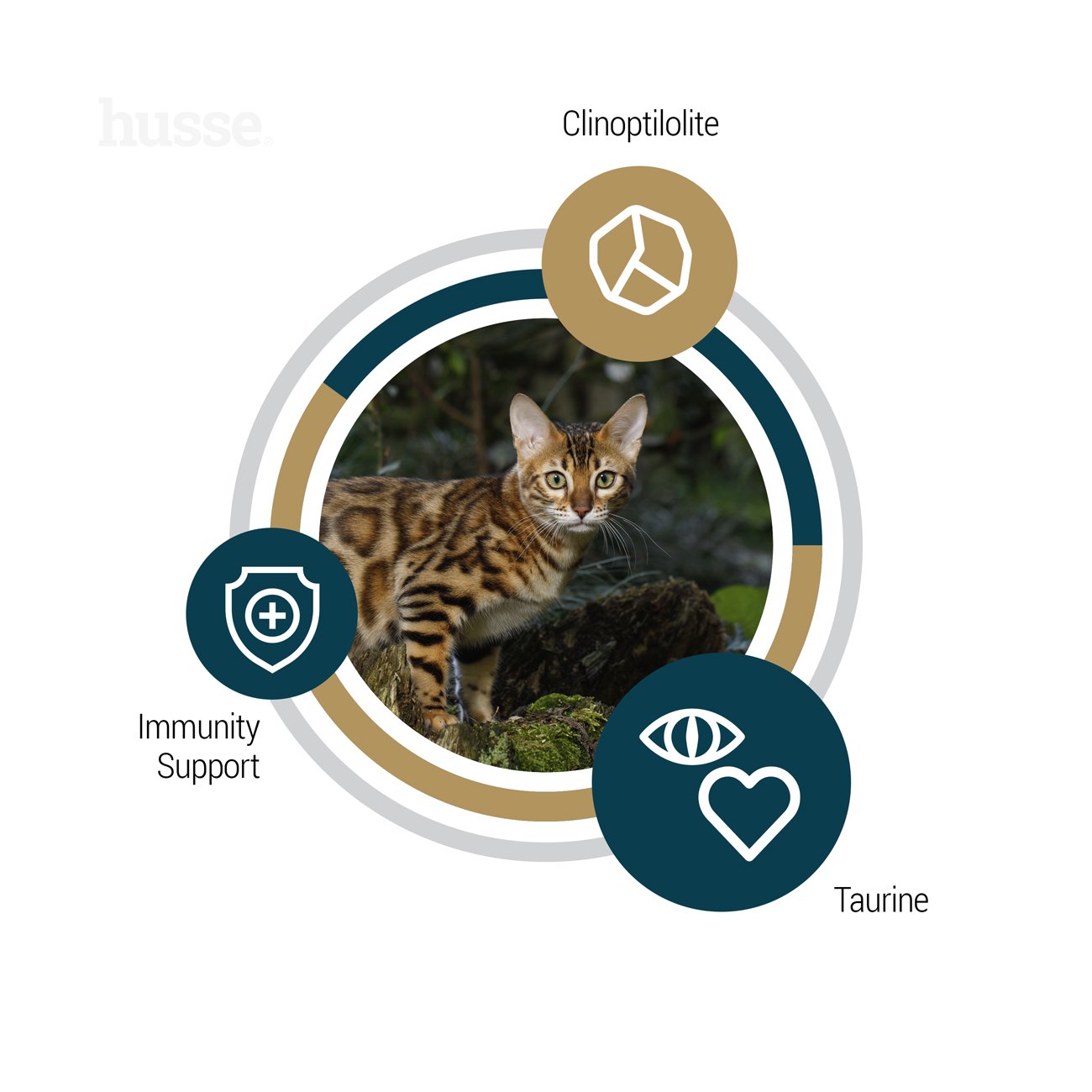 Lynx Senior, 7 kg | Spannmålsfritt foder för äldre katter med känslig hud och mage