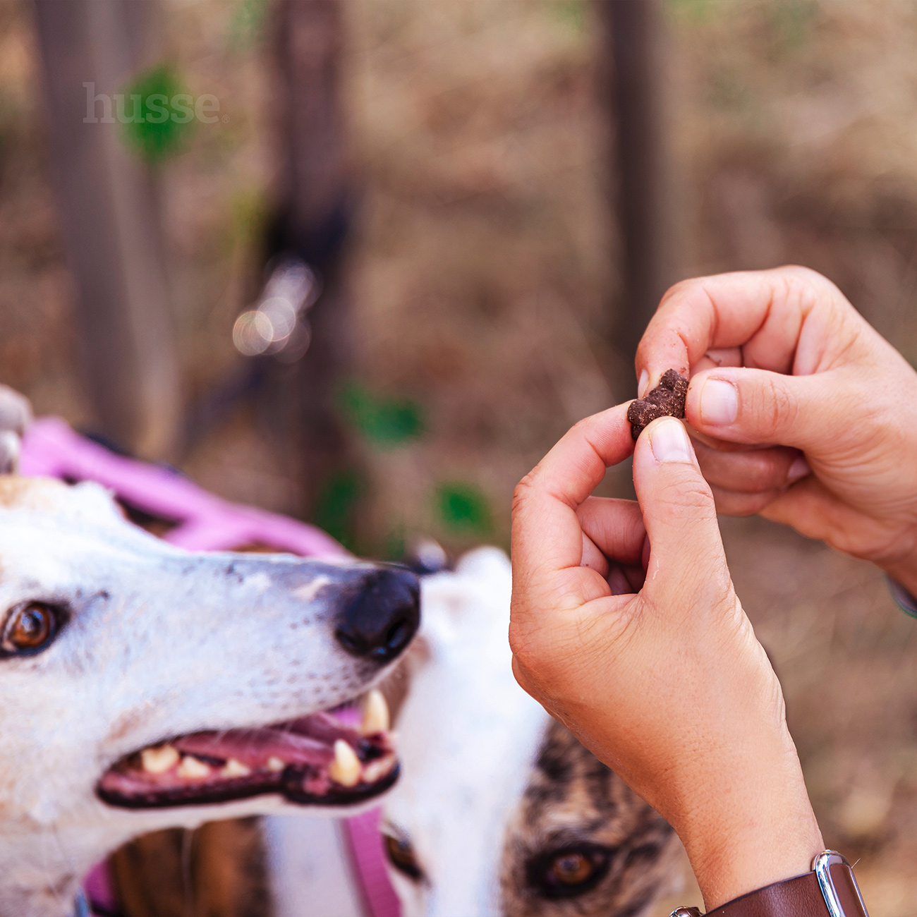 Bravo, 150 g | Glutenfritt snacks med lamm