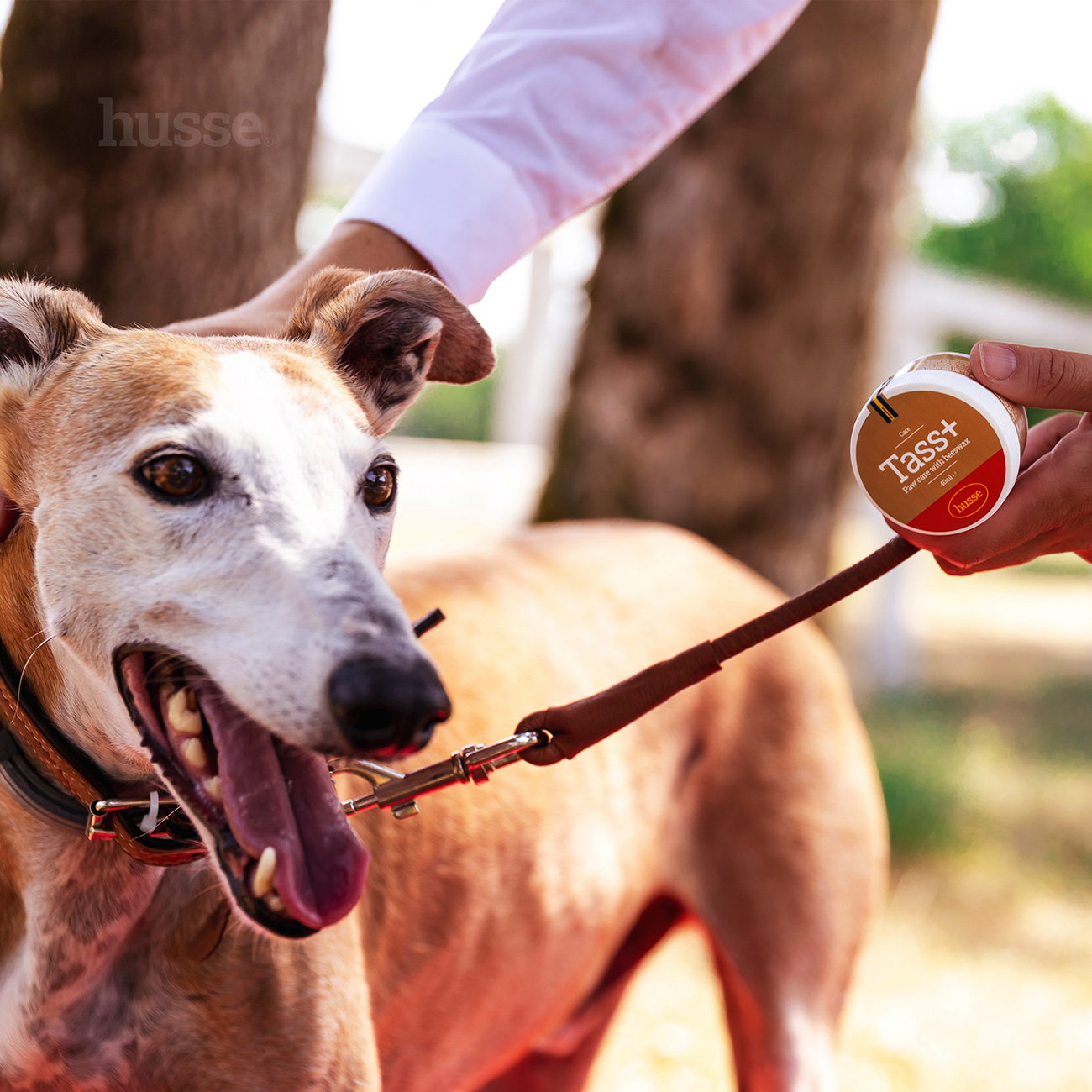 Tass Plus, 40 ml | Tassvårdsprodukt med bivax