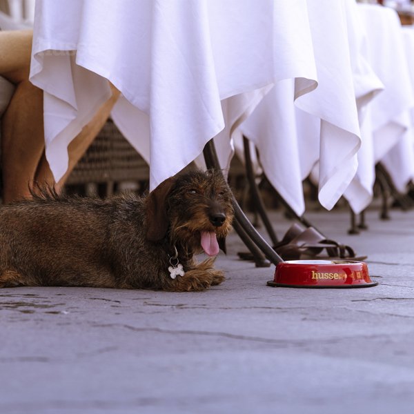 Matskål S | I hållbart rostfritt stål