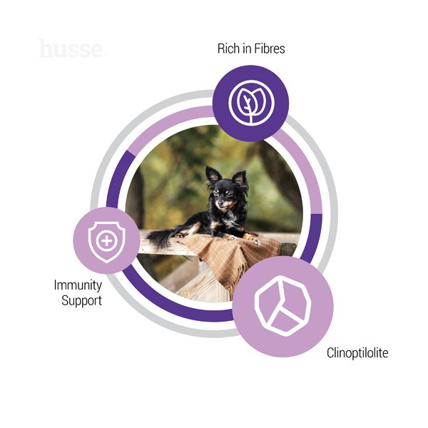 Sterilised Mini, 2 kg | Komplett foder med högt proteininnehåll för att främja en god kondition