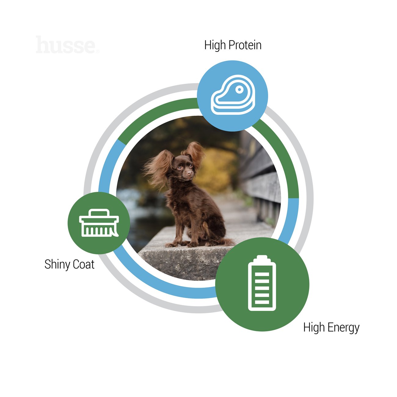 Optimal Mini, 2 kg | Glutenfritt torrfoder framtaget för att möta ett högt energibehov