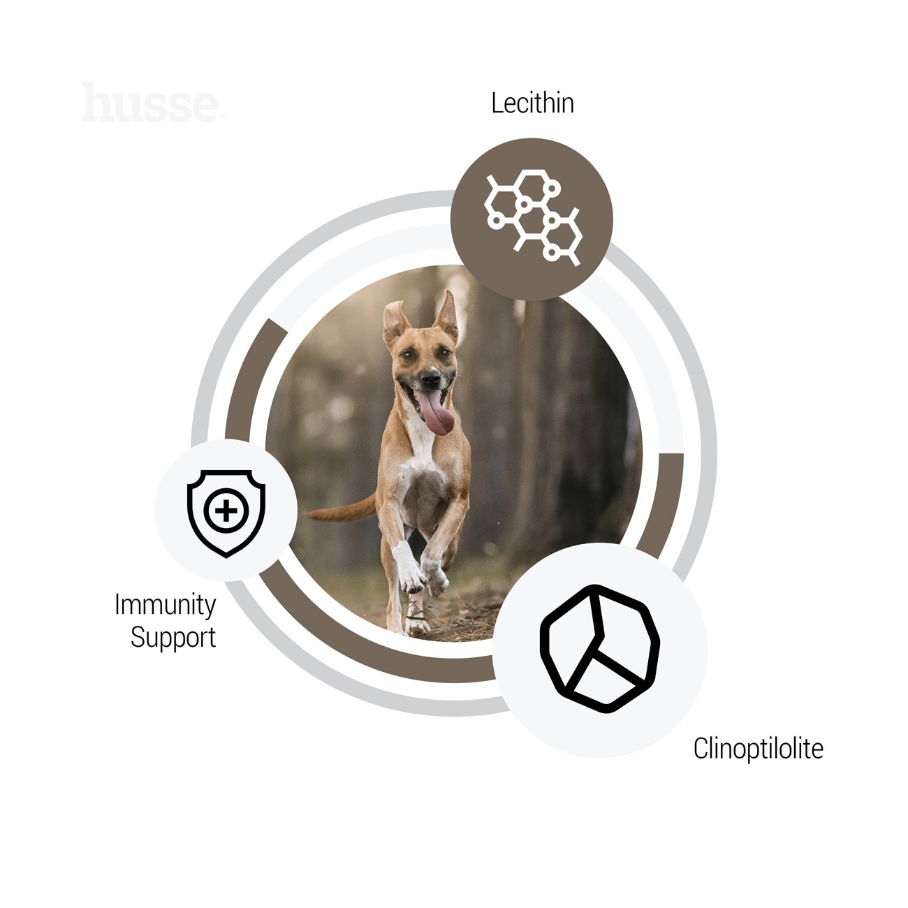 Sensitive Digest, 7 kg | Glutenfritt recept med begränsade animaliska proteinkällor