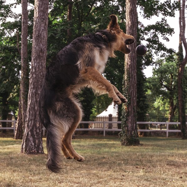 Boll, S | Studsande gummiboll