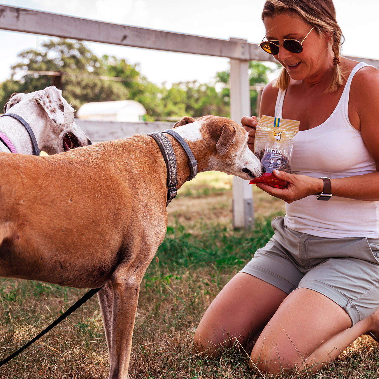 Bravo L, 150 g | Glutenfritt snacks med lamm