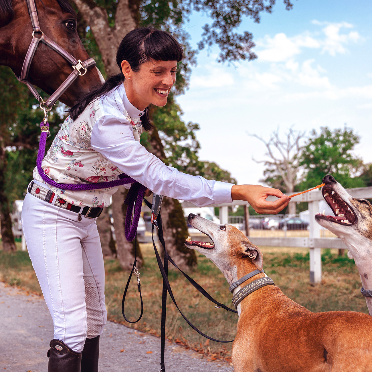Kycklingfilé, 100 g | Med tillsatt kondortin och glukosamin