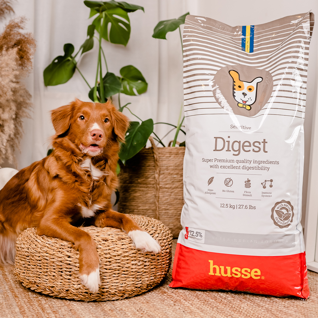 Sensitive Digest, 7 kg | Glutenfritt recept med begränsade animaliska proteinkällor
