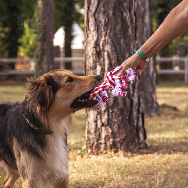 Rep, L | Klassisk repleksak med benliknande form