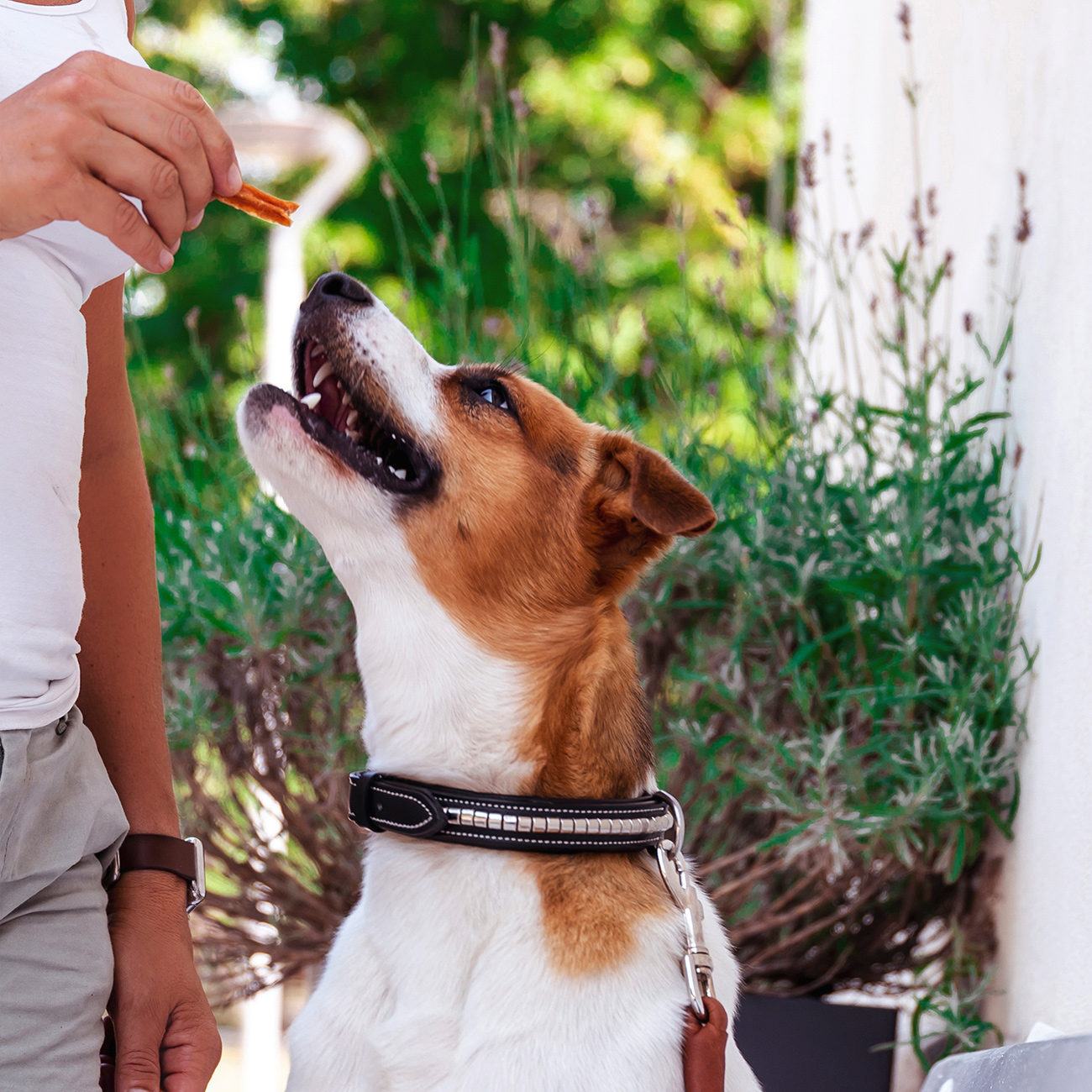 Kycklingfilé, 100 g | Med tillsatt kondortin och glukosamin