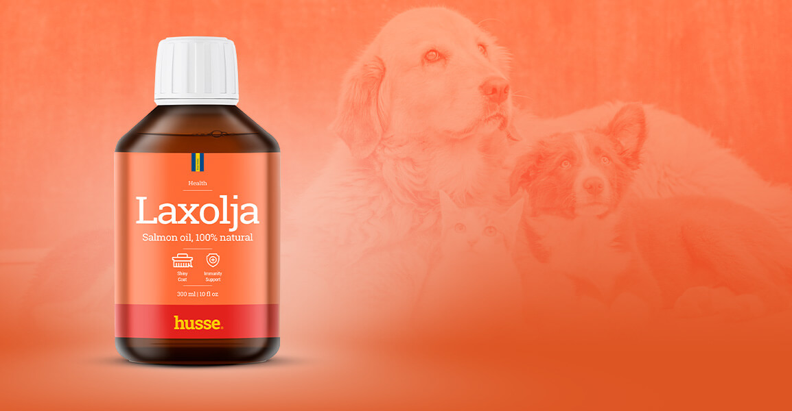 Husse laxolja till hundar