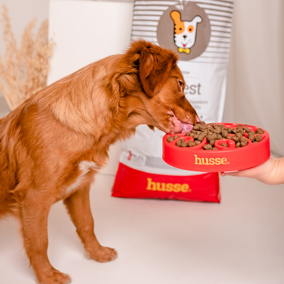 Sensitive Digest, 7 kg | Glutenfritt recept med begränsade animaliska proteinkällor