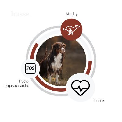 Sensitive Digest Giant, 12.5 kg | Glutenfritt recept med begränsade animaliska proteinkällor för större raser