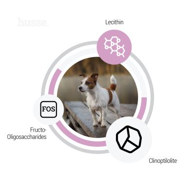 Sensitive Ocean Care Mini, 2 kg | Glutenfritt recept med en enda animalisk proteinkälla  Med omega-fettsyror för att stödja närande hud och en glänsande päls