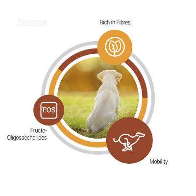 Valp Maxi, 12 kg | Stödjer utvecklingsbehoven hos stora rashundvalpar.