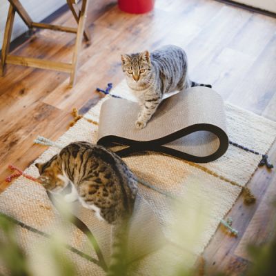 Krusa, 1 st | En modern kattbädd / klösbräda tillverkad i värmande miljövänlig wellpapp.