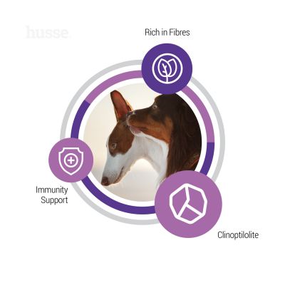 Sterilised, 12 kg | Komplett näring med högt protein för att bibehålla en hälsosam kondition