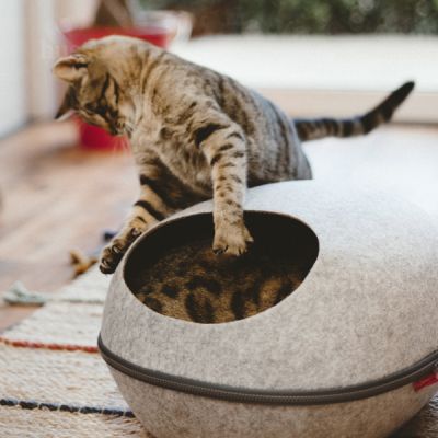 Krypin, 1 st | Katthus för att hålla din katt varm och mysig