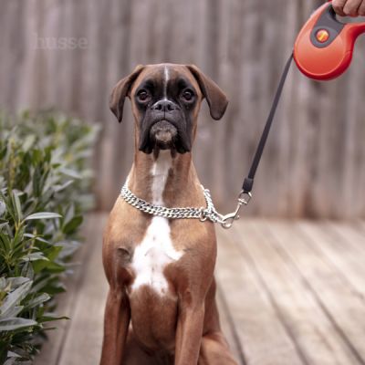 Rulle, 3 m | Rullkoppel. Går att låsa på önskad längd och har ett enkelt bromssystem