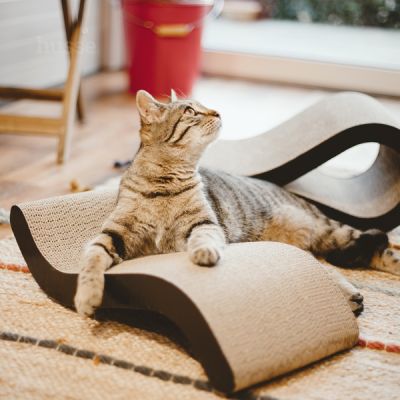 Krusa, 1 st | En modern kattbädd / klösbräda tillverkad i värmande miljövänlig wellpapp.