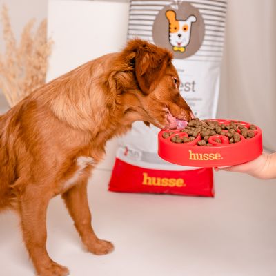 Sensitive Digest, 7 kg | Glutenfritt recept med begränsade animaliska proteinkällor