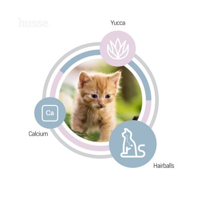 Exclusive Kattunge, 2 kg | Komplett foder speciellt framtagen för växande kattungar.