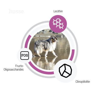 Sensitive Ocean Care, 12.5 kg | Glutenfritt recept med en enda animalisk proteinkälla