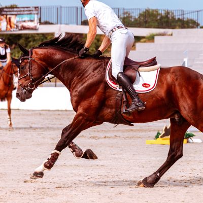 Schabrak, 1 st | Ergonomiskt utformat för ökad komfort