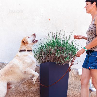 Kycklingfilé, 100 g | Med tillsatt kondortin och glukosamin